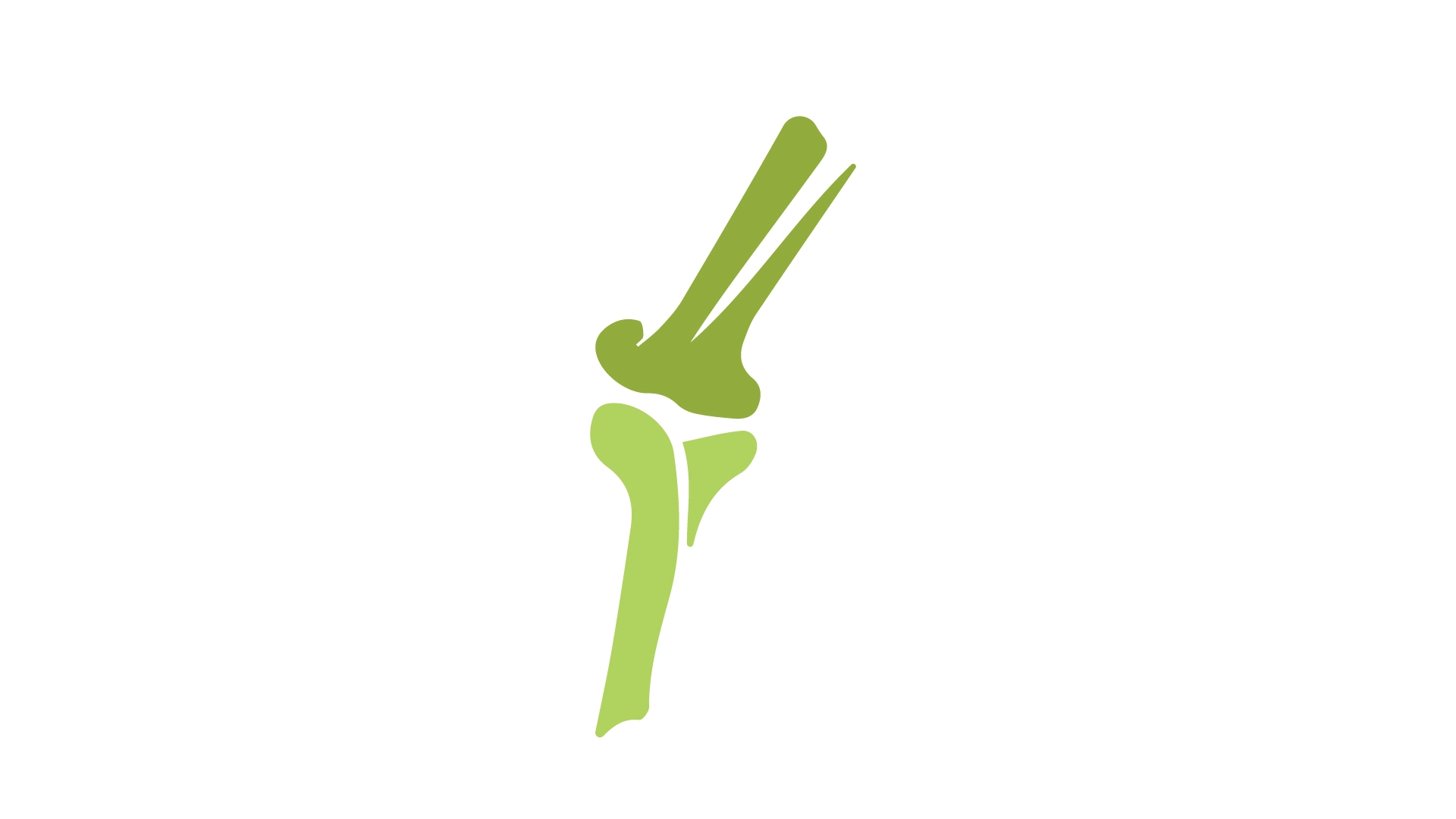 Orthopedic