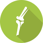 Orthopedic