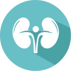Urology